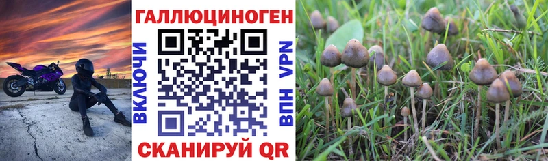 Галлюциногенные грибы ЛСД  Катав-Ивановск 